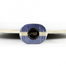 紅雙喜DHS 狂飚301 狂飆301乒乓球?qū)I(yè)底板