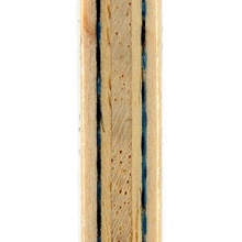 蝴蝶BUTTERFLY 張繼科限量紀(jì)念球拍禮盒（橫板FL柄）