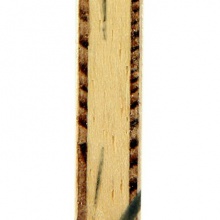 斯帝卡STIGA 北極木ARCTIC WOOD 斯蒂卡專業(yè)底板