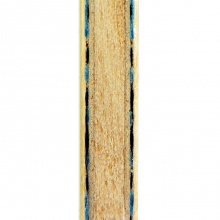 蝴蝶BUTTERFLY  張繼科ALC(36561/23600)