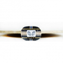 蝴蝶BUTTERFLY  張繼科ALC(36561/23600)