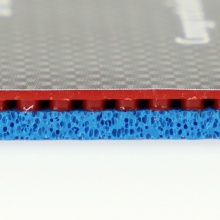 多尼克 藍(lán)火M1 12091 Donic Bluefire M1