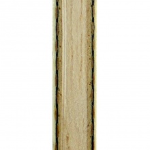 蝴蝶Butterfly 波爾ZLC(35831|22890)