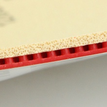 挺拔TIBHAR 量子套膠 薩姆索諾夫使用 量子