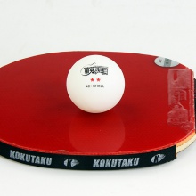 【買10送1】精英乒乓網(wǎng) 新材料ABS 40+ 二星訓(xùn)練乒乓球 100粒裝