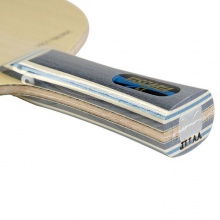 蝴蝶Butterfly 維斯卡利亞VISCARIA 30041/30044/24010蝴蝶王VIS芳碳纖維乒乓球底板