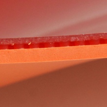 紅雙喜DHS 狂飆8 狂飚8 運(yùn)海25#海綿