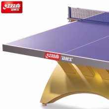 紅雙喜金彩虹乒乓球臺球桌