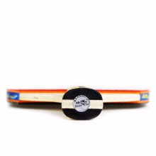 雙魚六星成品拍乒乓球拍  6A 純木底板 展翅套膠