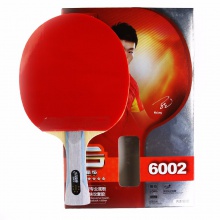 紅雙喜DHS 六星成品拍 雙面反膠 贈紅雙喜拍套