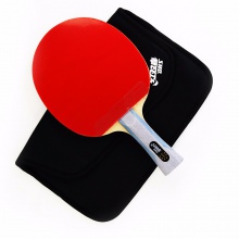 紅雙喜DHS 六星成品拍 雙面反膠 贈紅雙喜拍套