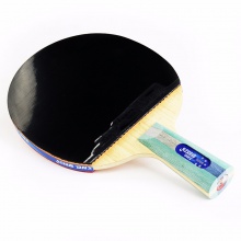 紅雙喜DHS 五星成品拍 雙面反膠 贈(zèng)拍套