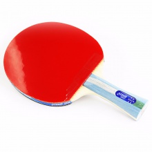 紅雙喜DHS 五星成品拍 雙面反膠 贈(zèng)拍套