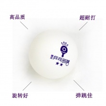 精英乒乓部落 紫羅蘭色 新款40+新材料 ABS 二星訓(xùn)練球 100粒裝 