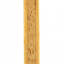 蝴蝶Butterfly 新款兒童專用底板  TIMO BOLL J【36931/23970】