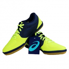 亞瑟士ASICS 專業(yè)乒乓球鞋 1073A002-750