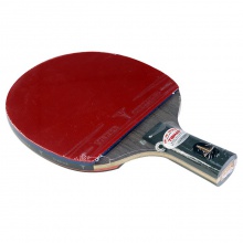 挺拔Tibhar 九星成品拍  5+2結(jié)構(gòu)（雙面反膠+乒乓球2粒+硬質(zhì)單拍套）