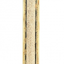 達克Darker SYNERGY（賽納吉） 新款專業(yè)底板