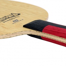 達(dá)克Darker SYNERGY+（賽納吉+） 新款專業(yè)底板