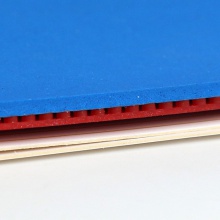 KTL Red Diamond 專業(yè)版紅鉆石藍海綿（新包裝升級版）套膠