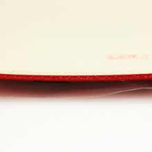 729焦點(diǎn)III升級(jí)版反膠套膠