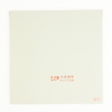 729 TOP極限 POINT澀性反膠