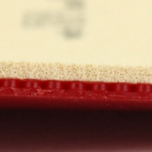 挺拔AURUS龍?zhí)啄z