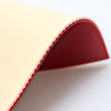 挺拔AURUS龍?zhí)啄z