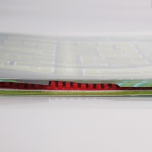 挺拔TIBHAR grass d.tecs 草內(nèi)能長(zhǎng)膠單膠皮