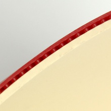 多尼克F1加硬型（12010）