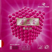 銳科特普及套（2片）經(jīng)濟型反膠套膠