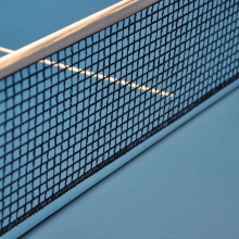 雙魚(yú) 133型標(biāo)準(zhǔn)室內(nèi)家用球館訓(xùn)練折疊式乒乓球臺(tái)