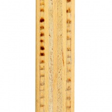 流星Liuxing 天尊系列 TZ18602 9層純木底板