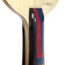 蝴蝶Butterfly 林高遠(yuǎn)ALC（ Lin Gaoyuan ALC）24060/37041/37044 林高遠(yuǎn)用乒乓球底板