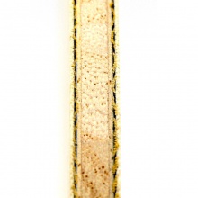 蝴蝶Butterfly 【37131/24120】 林昀儒SUPER ZLC LIN YUN-JU SUPER ZLC