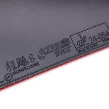 紅雙喜DHS 狂飆8-80 狂飚880 80號(hào)大孔徑海綿 粘性套膠