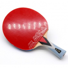 雙魚Doublefish 4A+ 乒乓球成品拍 雙面反膠 七層純木結(jié)構(gòu)