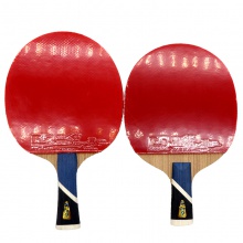 雙魚Doublefish 5A+ 乒乓球成品拍 雙面反膠 5+2內置結構