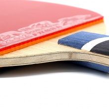 雙魚Doublefish 5A+ 乒乓球成品拍 雙面反膠 5+2內置結構