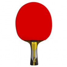 雙魚(yú)Doublefish 6A+ 六星進(jìn)攻型成品拍 乒乓球拍單拍 初學(xué)者兒童學(xué)生乒乓拍