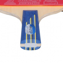 銀河Yinhe 08BD 8星成品拍 初學(xué)者練習(xí)球拍 雙面反膠