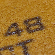 杰沃GEWO 毒液NEXUS EL Pro48 捷沃專業(yè)澀性反膠套膠