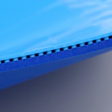 紅雙喜DHS 狂飚9狂飆9 專業(yè)反膠套膠 狂飆彩色版本 勁藍(lán)色