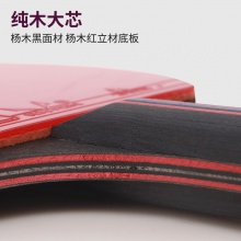 雷神Loki 麒麟4星成品拍 專(zhuān)業(yè)乒乓球拍單拍 體育考試初學(xué)者 學(xué)生用拍 K4