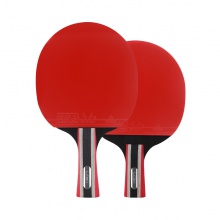 雷神Loki 銳龍3星成品拍 乒乓球拍單拍 學(xué)生訓(xùn)練初學(xué)者 5層純木