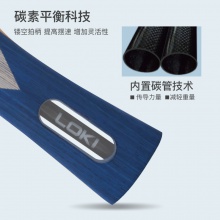 雷神Loki 銳龍6星成品拍 乒乓球拍單拍 學(xué)生訓(xùn)練初學(xué)者 5+2內(nèi)置底板