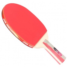 紅雙喜DHS H1星 成品拍 訓(xùn)練入門成品拍