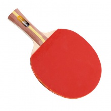 紅雙喜DHS H2星 成品拍 訓練入門成品拍