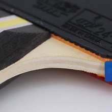 紅雙喜DHS H3星 成品拍 訓練入門成品拍