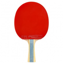 紅雙喜DHS H6星 成品拍 訓(xùn)練入門成品拍